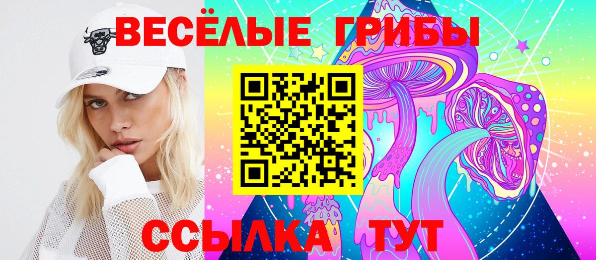 Псилоцибиновые грибы Psilocybe  Псилоцибиновые грибы Cubensis  Вход с VPN  Муравленко 